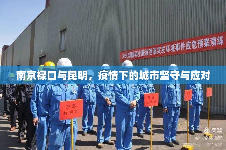 南京禄口与昆明，疫情下的城市坚守与应对