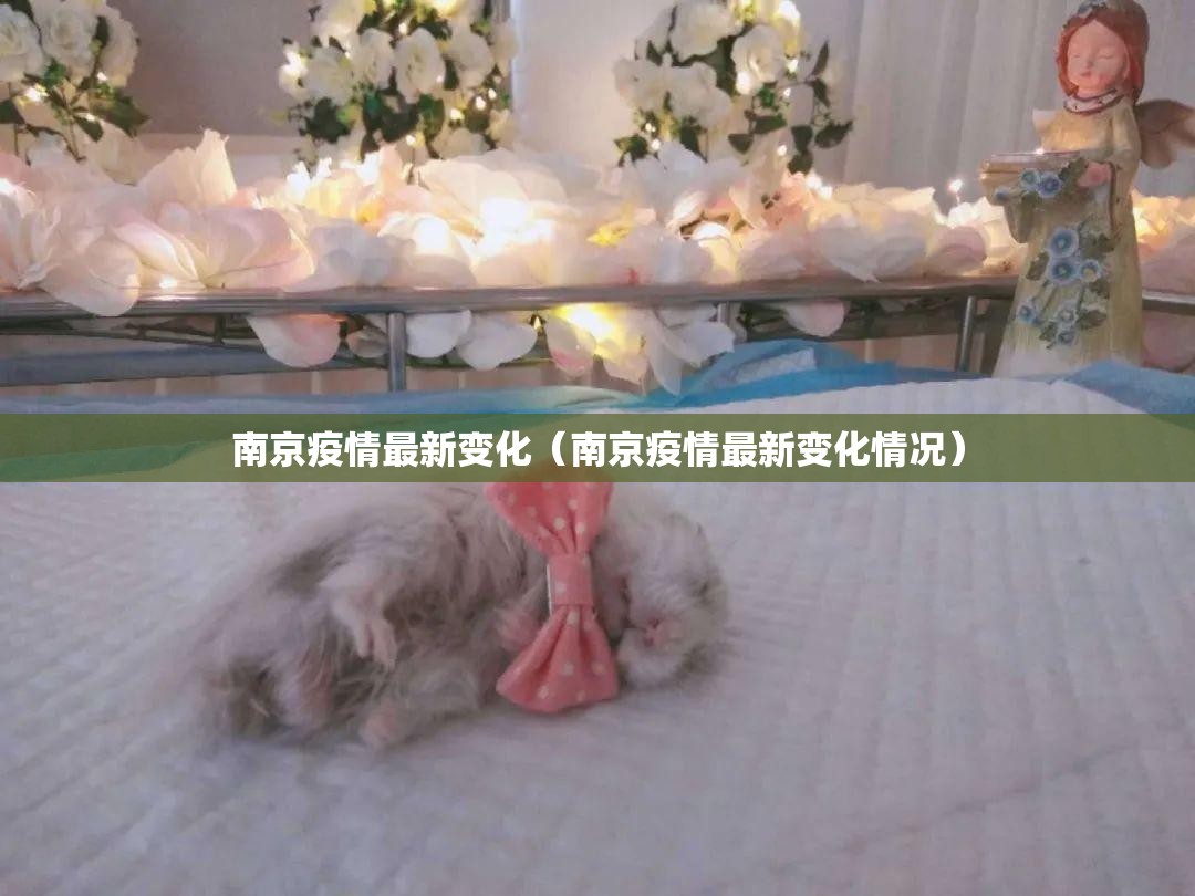 南京疫情最新变化（南京疫情最新变化情况）