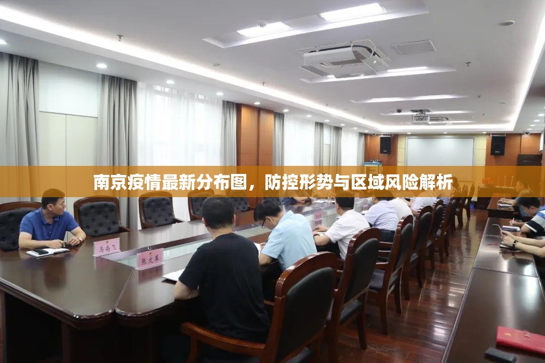 南京疫情最新分布图，防控形势与区域风险解析
