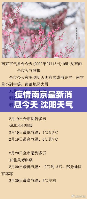 疫情南京最新消息今天 沈阳天气:疫情南京最新消息今天 沈阳天气预报