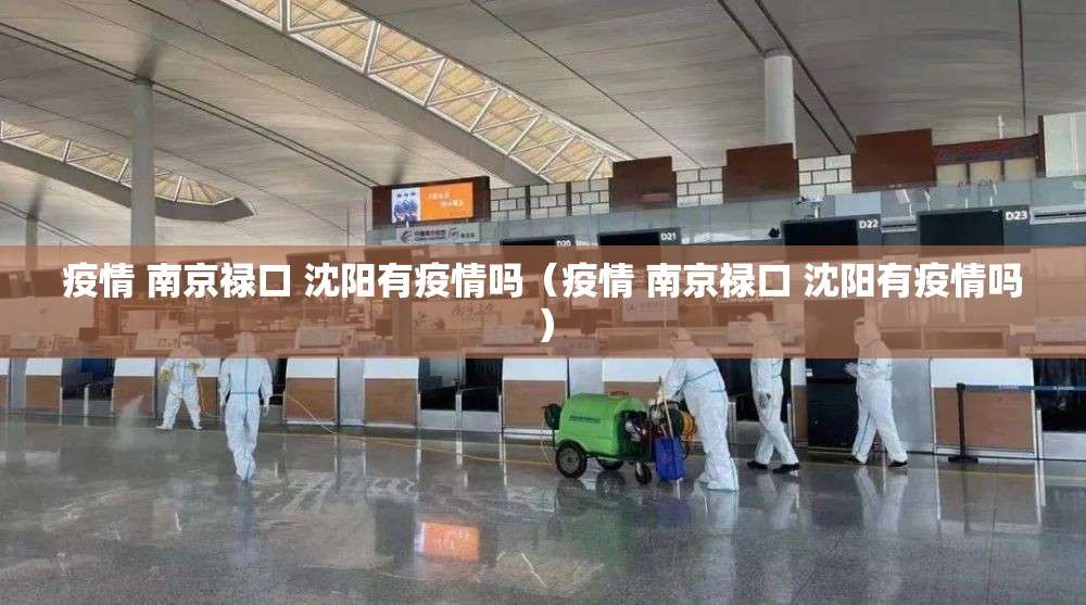 疫情 南京禄口 沈阳有疫情吗（疫情 南京禄口 沈阳有疫情吗）