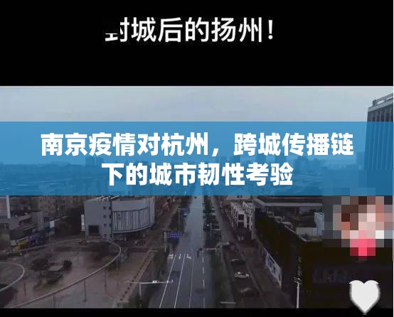 南京疫情对杭州，跨城传播链下的城市韧性考验