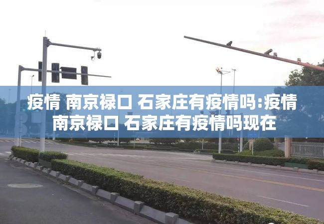 疫情 南京禄口 石家庄有疫情吗:疫情 南京禄口 石家庄有疫情吗现在