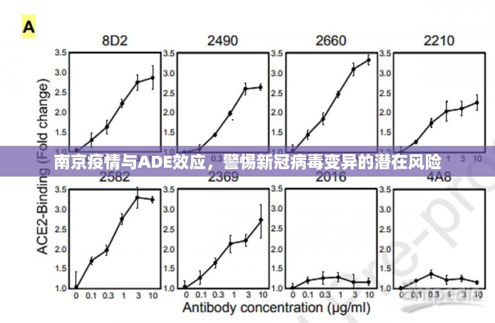 南京疫情与ADE效应，警惕新冠病毒变异的潜在风险