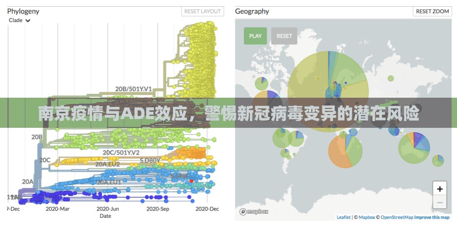 南京疫情与ADE效应，警惕新冠病毒变异的潜在风险