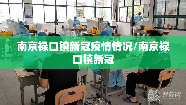 南京禄口镇新冠疫情情况/南京禄口镇新冠