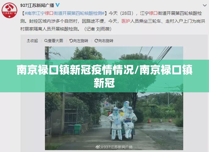 南京禄口镇新冠疫情情况/南京禄口镇新冠