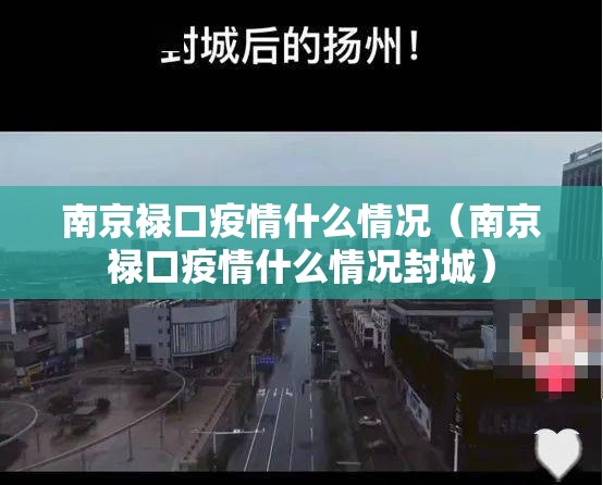 南京禄口疫情什么情况（南京禄口疫情什么情况封城）