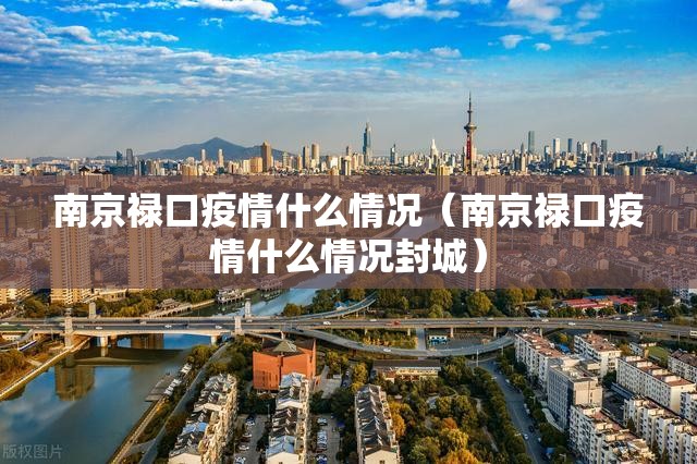 南京禄口疫情什么情况（南京禄口疫情什么情况封城）