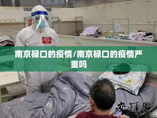 南京禄口的疫情/南京禄口的疫情严重吗