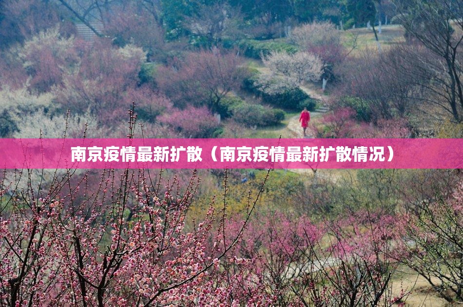 南京疫情最新扩散（南京疫情最新扩散情况）