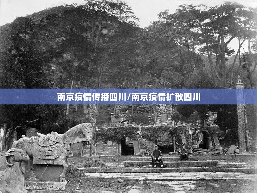 南京疫情传播四川/南京疫情扩散四川