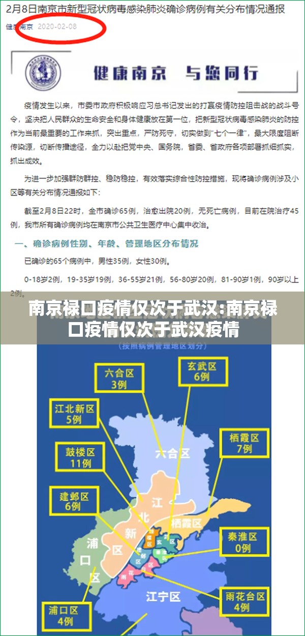 南京禄口疫情仅次于武汉:南京禄口疫情仅次于武汉疫情