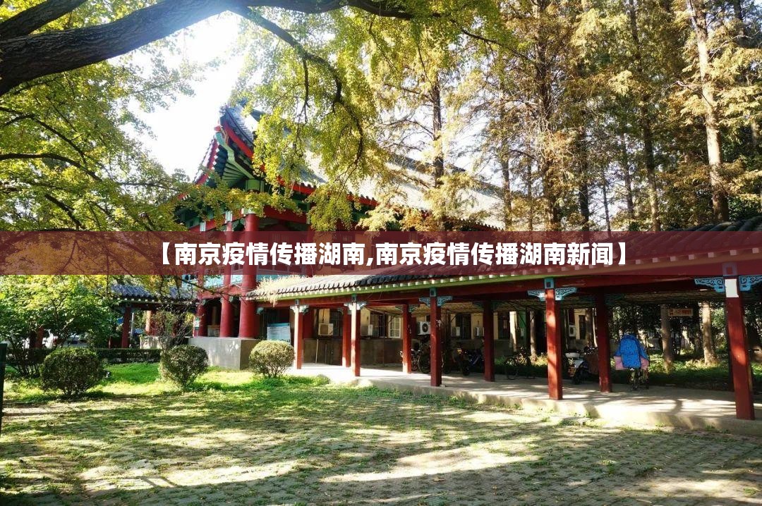 【南京疫情传播湖南,南京疫情传播湖南新闻】