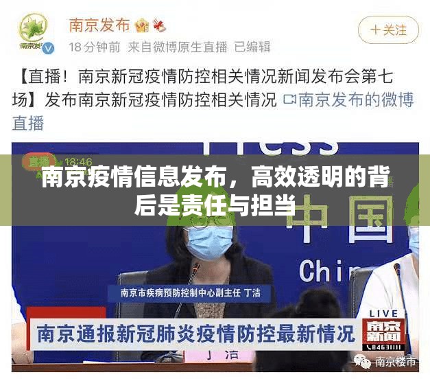 南京疫情信息发布，高效透明的背后是责任与担当