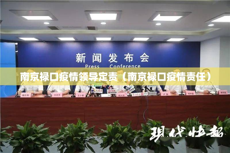 南京禄口疫情领导定责（南京禄口疫情责任）