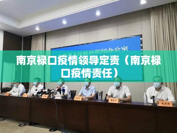南京禄口疫情领导定责（南京禄口疫情责任）