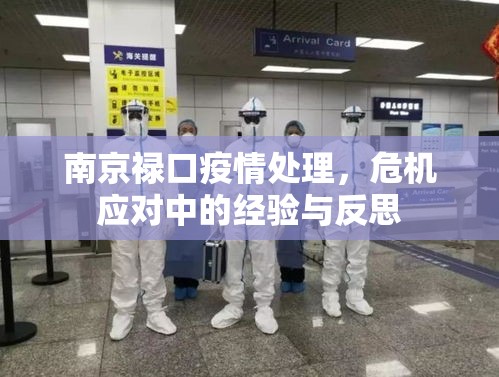 南京禄口疫情处理，危机应对中的经验与反思