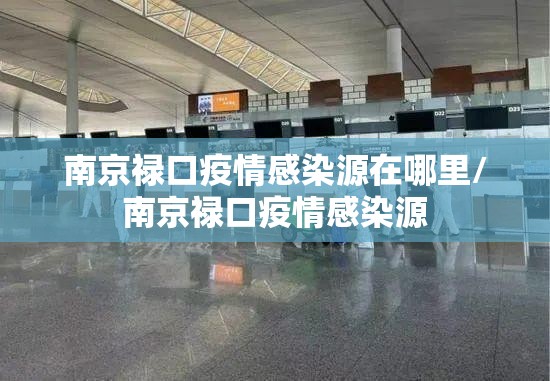 南京禄口疫情感染源在哪里/南京禄口疫情感染源