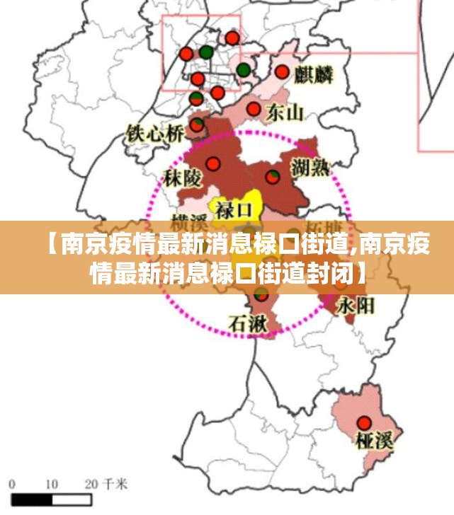 【南京疫情最新消息禄口街道,南京疫情最新消息禄口街道封闭】