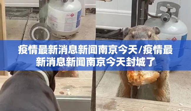 疫情最新消息新闻南京今天/疫情最新消息新闻南京今天封城了