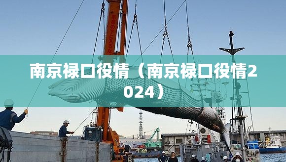 南京禄口役情（南京禄口役情2024）