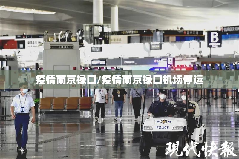 疫情南京禄口/疫情南京禄口机场停运