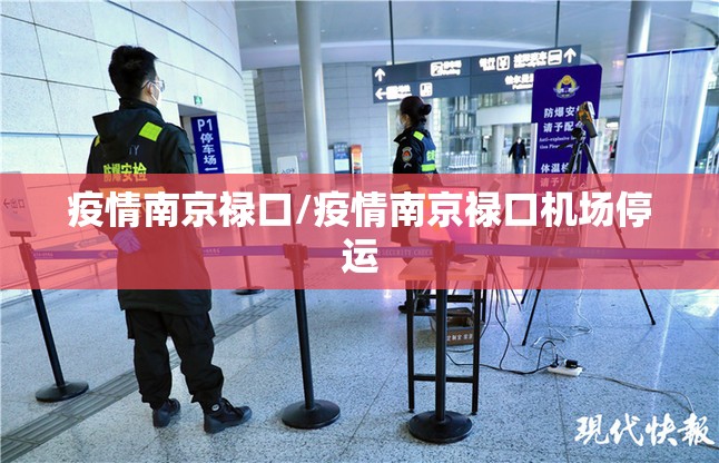 疫情南京禄口/疫情南京禄口机场停运
