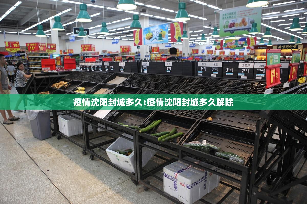 疫情沈阳封城多久:疫情沈阳封城多久解除