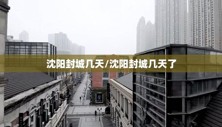 沈阳封城几天/沈阳封城几天了