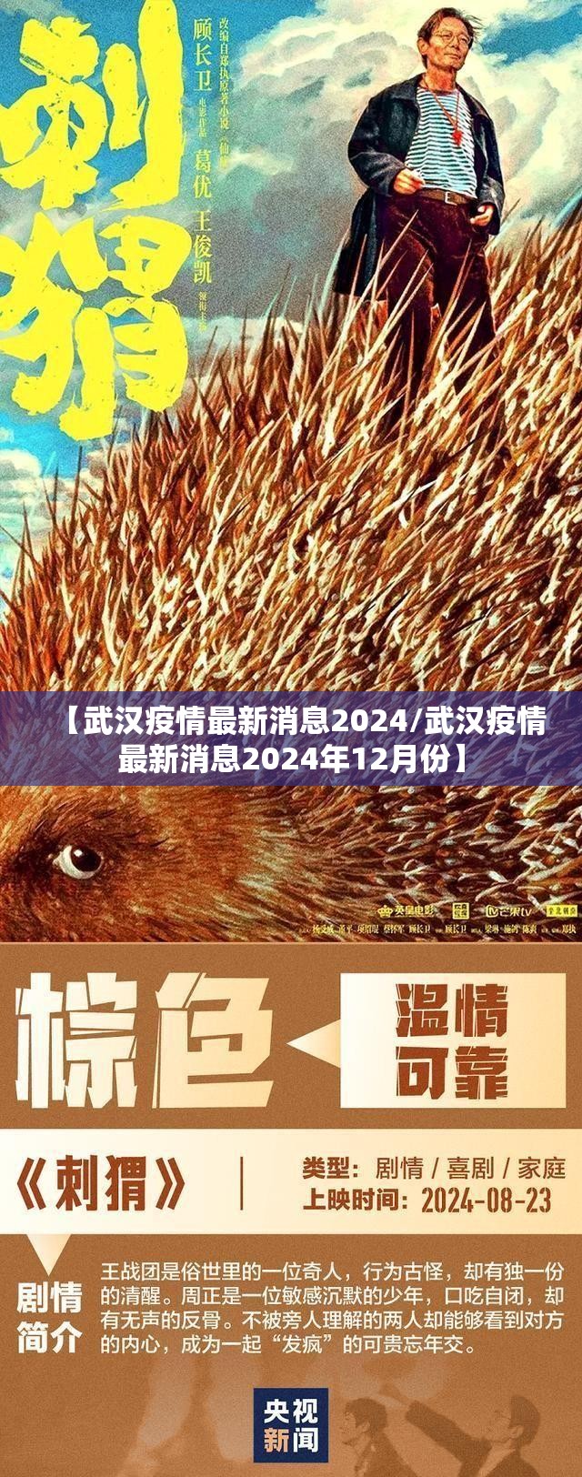 【武汉疫情最新消息2024/武汉疫情最新消息2024年12月份】