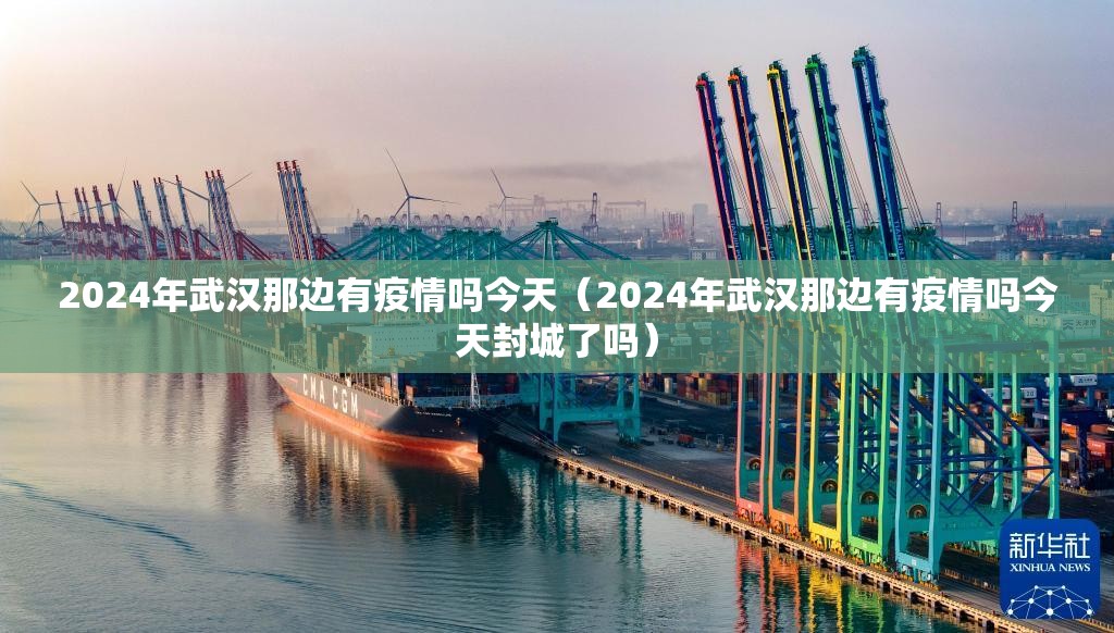 2024年武汉那边有疫情吗今天（2024年武汉那边有疫情吗今天封城了吗）