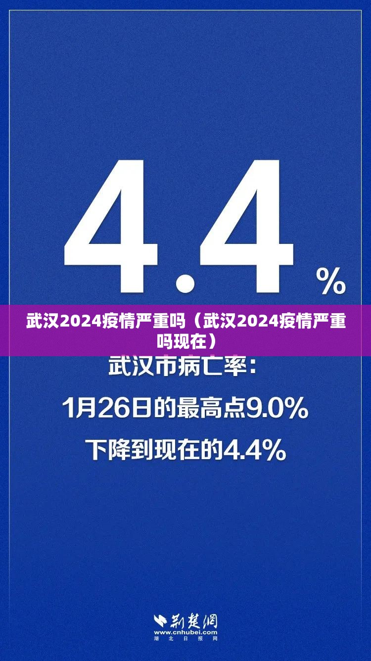 武汉2024疫情严重吗（武汉2024疫情严重吗现在）