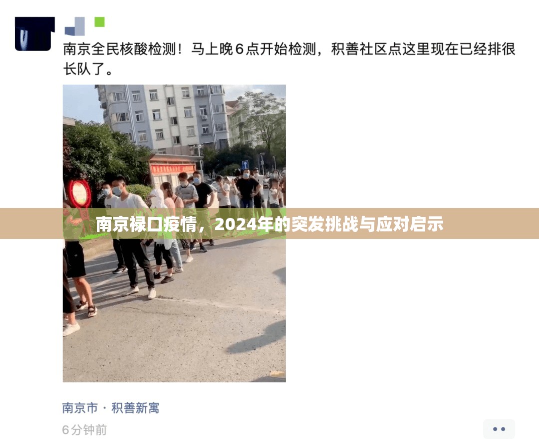 南京禄口疫情，2024年的突发挑战与应对启示