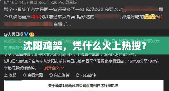 沈阳鸡架，凭什么火上热搜？