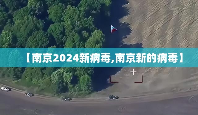 【南京2024新病毒,南京新的病毒】