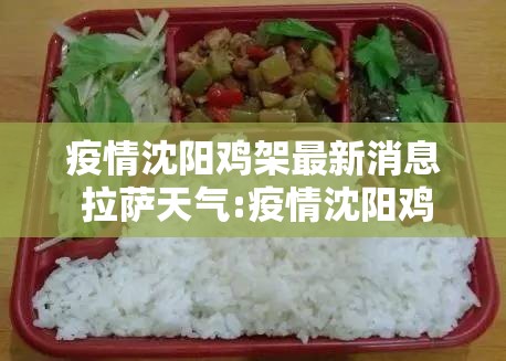 疫情沈阳鸡架最新消息 拉萨天气:疫情沈阳鸡架最新消息 拉萨天气预报