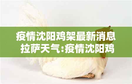 疫情沈阳鸡架最新消息 拉萨天气:疫情沈阳鸡架最新消息 拉萨天气预报