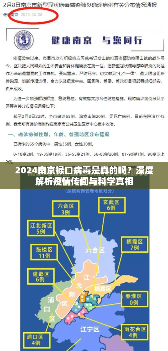 2024南京禄口病毒是真的吗？深度解析疫情传闻与科学真相
