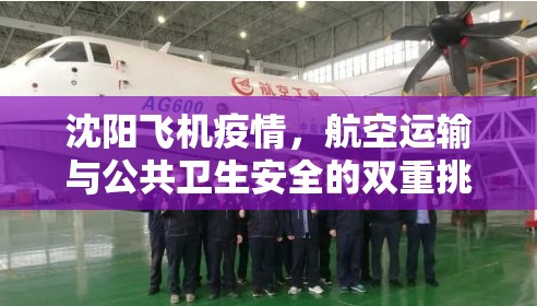 沈阳飞机疫情，航空运输与公共卫生安全的双重挑战