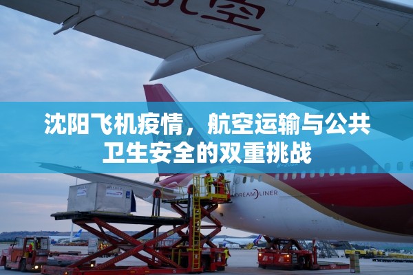 沈阳飞机疫情，航空运输与公共卫生安全的双重挑战