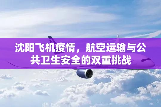 沈阳飞机疫情，航空运输与公共卫生安全的双重挑战