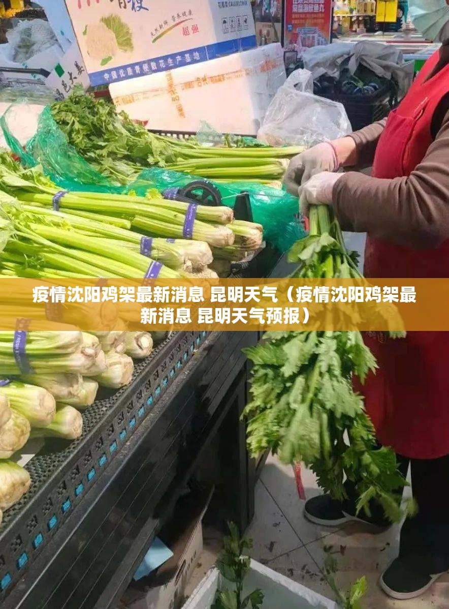 疫情沈阳鸡架最新消息 昆明天气（疫情沈阳鸡架最新消息 昆明天气预报）