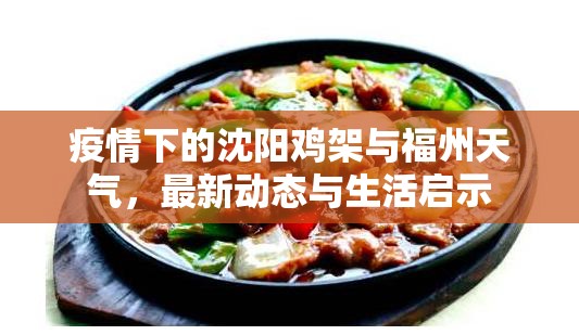 疫情下的沈阳鸡架与福州天气，最新动态与生活启示