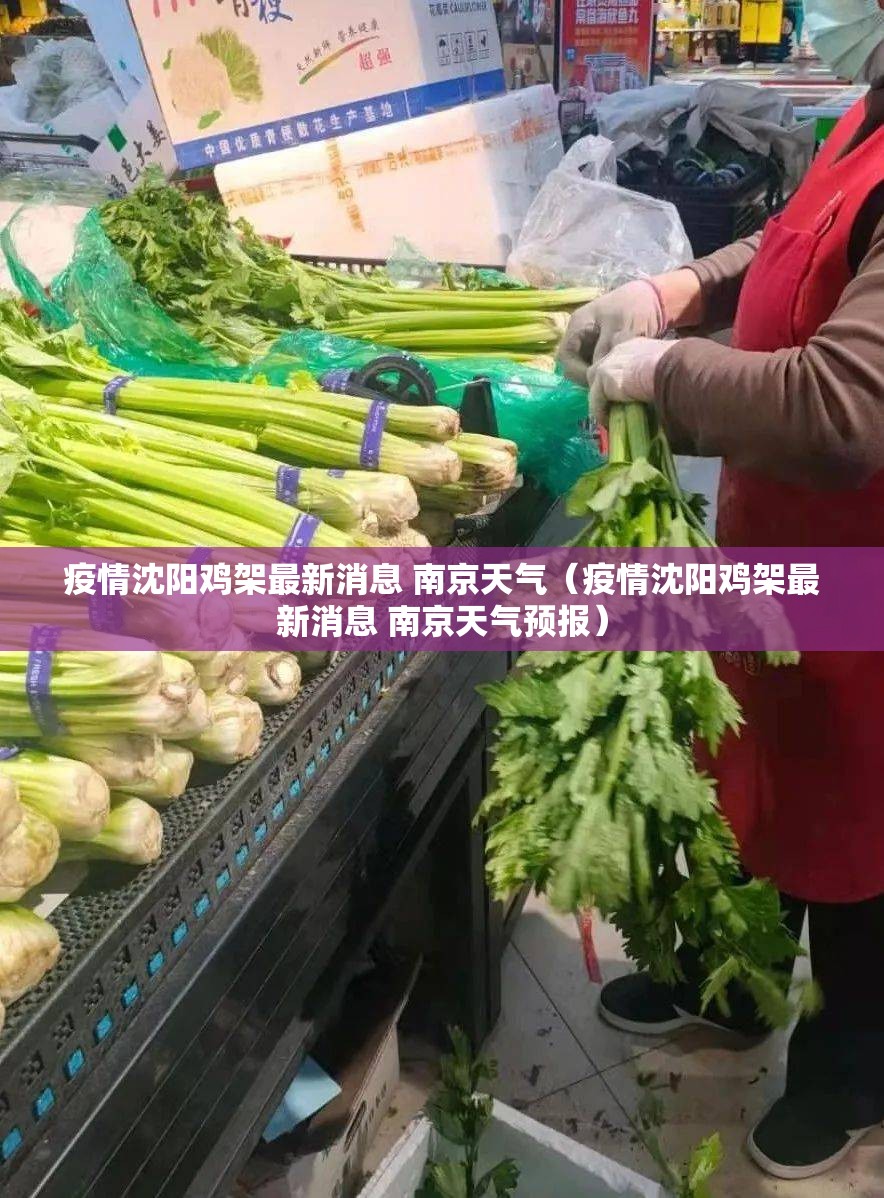 疫情沈阳鸡架最新消息 南京天气（疫情沈阳鸡架最新消息 南京天气预报）
