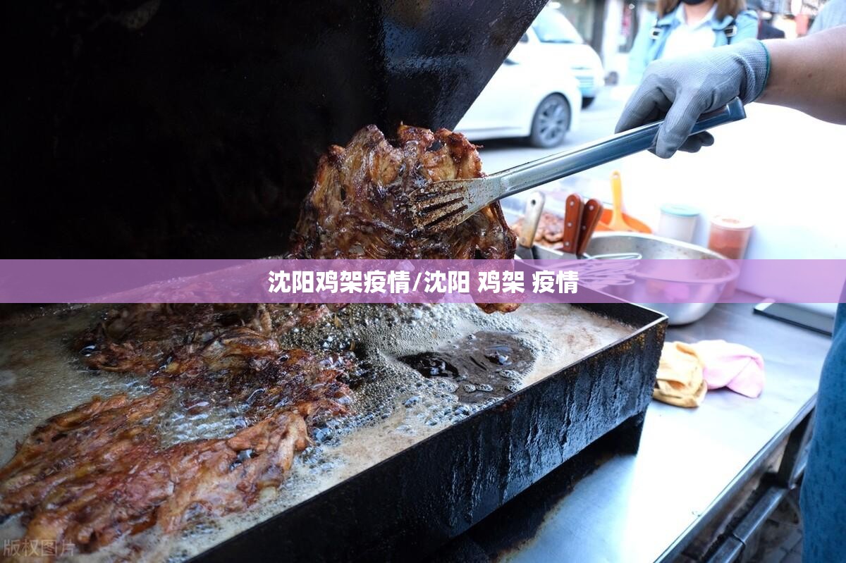 沈阳鸡架疫情/沈阳 鸡架 疫情