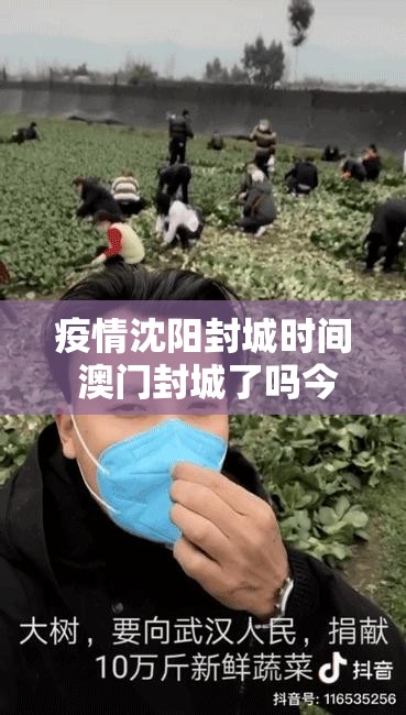 疫情沈阳封城时间 澳门封城了吗今天/疫情沈阳封城时间 澳门封城了吗