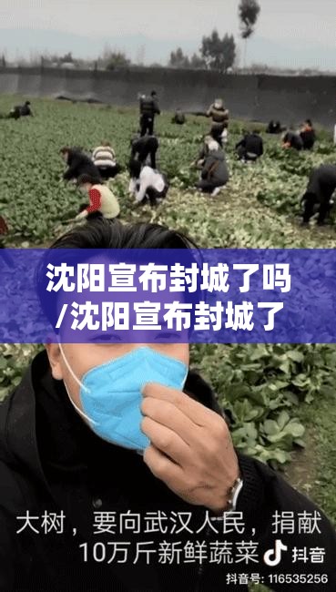 沈阳宣布封城了吗/沈阳宣布封城了吗最新消息