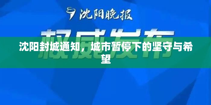沈阳封城通知，城市暂停下的坚守与希望