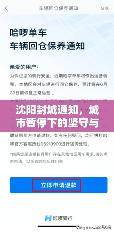 沈阳封城通知，城市暂停下的坚守与希望